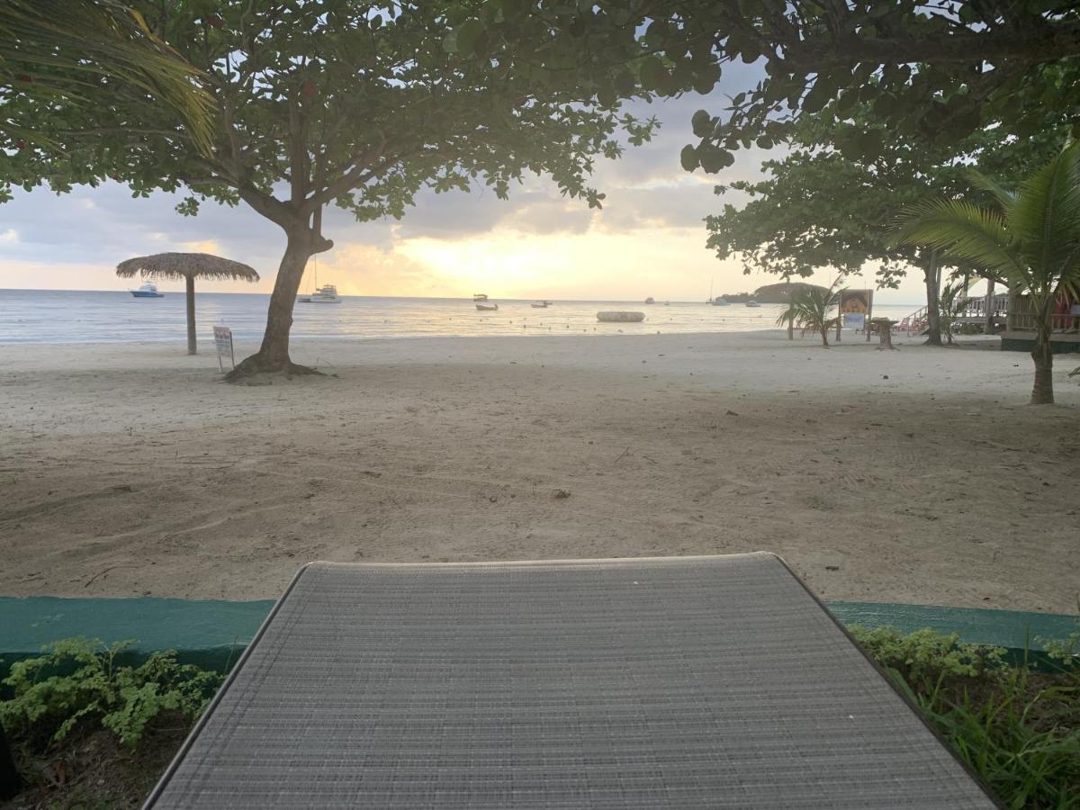 King Suite At Oceanview Resort In Jamaica - Enjoy 7 Miles Of White Sand Beach! Negril Bagian luar foto